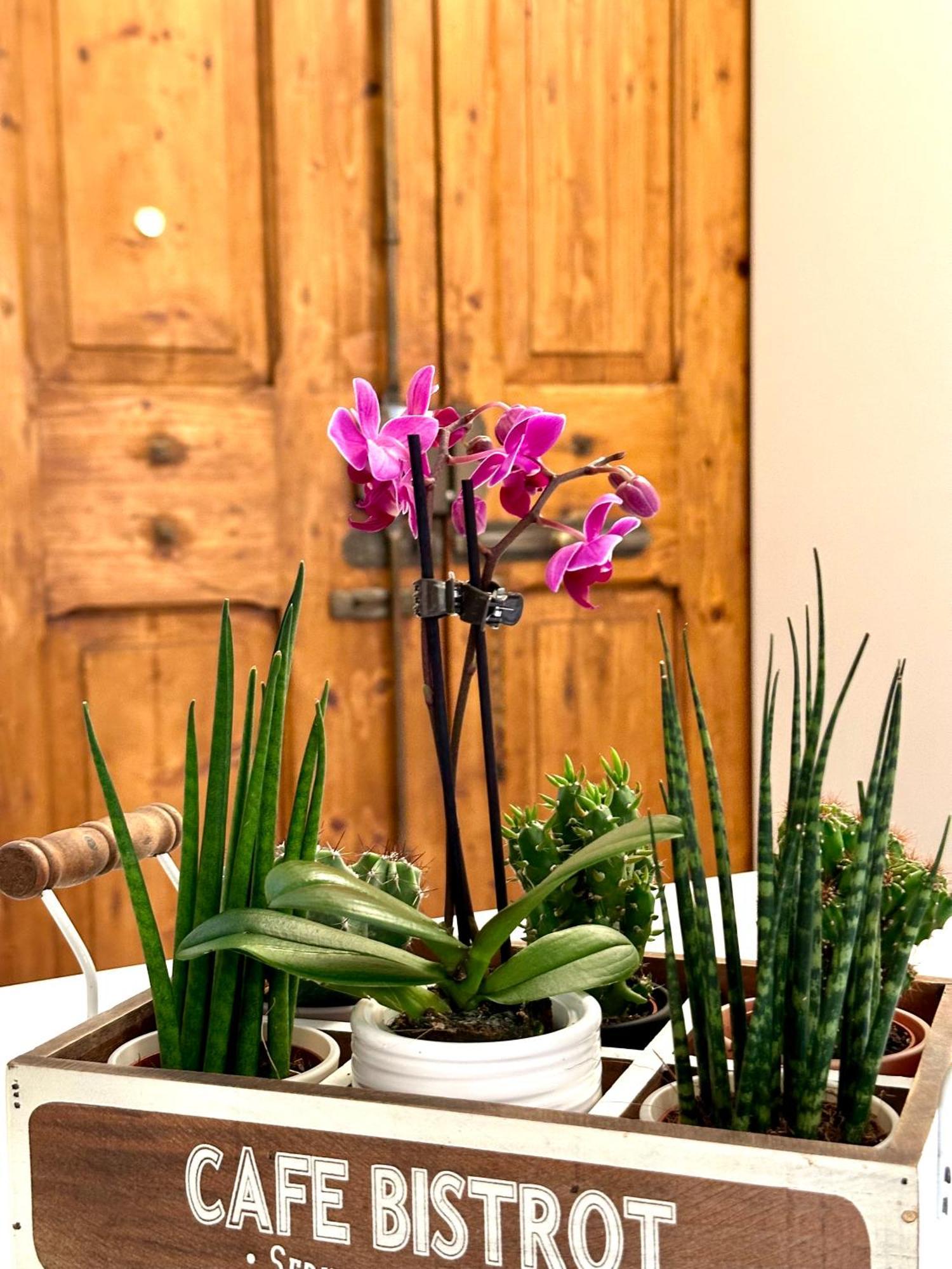 Casa Belfiore Appartement Bologna Buitenkant foto