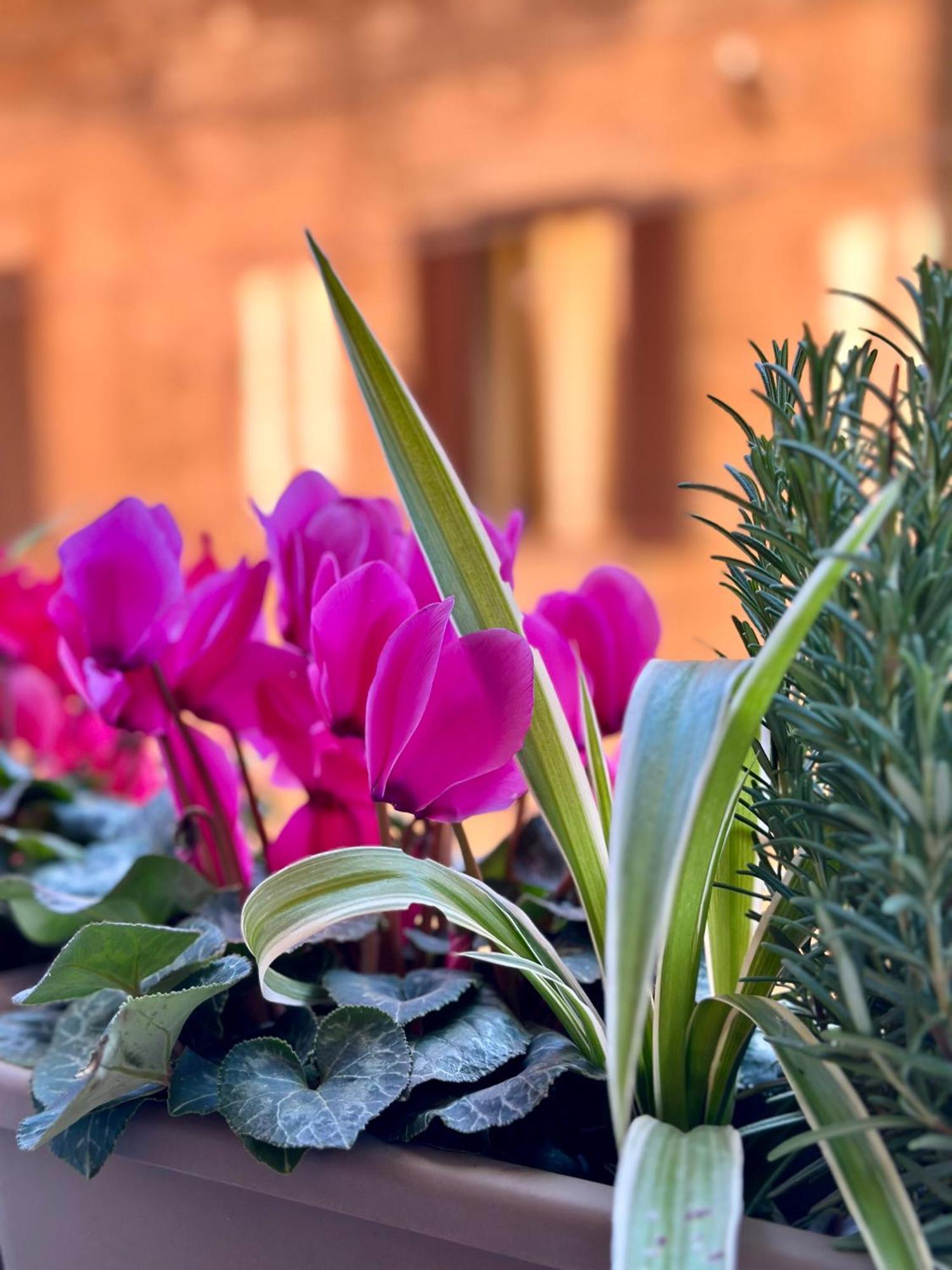 Casa Belfiore Appartement Bologna Buitenkant foto